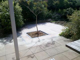 Paving and Planting