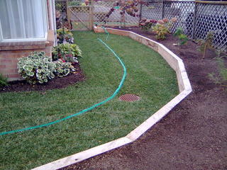 Ready Lawn whangaparaoa