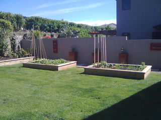 Raised Gardens