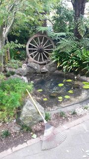 Water Feature Whangaparaoa